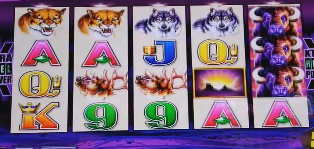 Buffalo pokie base game reels by Aristocrat