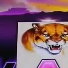 Buffalo pokie cougar symbol